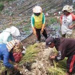 WhatsApp Image 2023-02-02 at 16.03.38