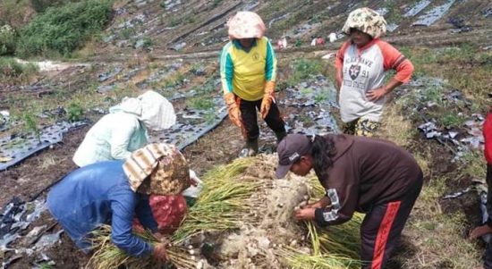 WhatsApp Image 2023-02-02 at 16.03.38