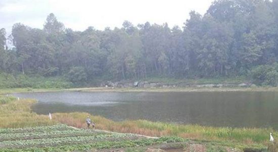 WhatsApp Image 2023-02-17 at 18.02.06