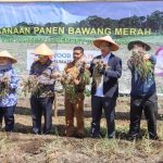 WhatsApp Image 2023-07-06 at 12.32.03