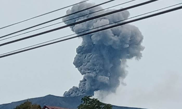 WhatsApp Image 2024-11-07 at 08.57.29