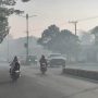kabut asap